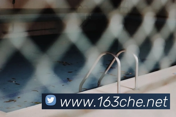 开云官方登陆入口平台生态图