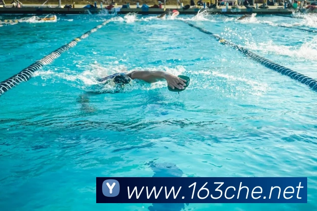 开云官方登陆入口全站App